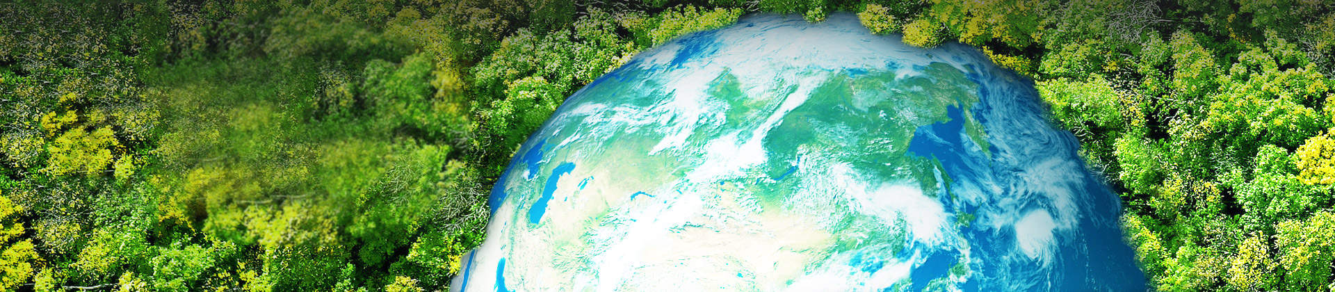 ��ҵ����