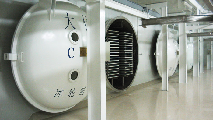 ʳ�ﶳ��װ��